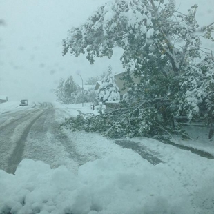 Double trouble in Great Plains: 3.5 feet of snow in SD Black Hills; 15 hurt in Neb. tornado | iNFOnews.ca