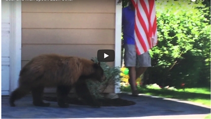 TRENDING NOW: Bearly scared | iNFOnews.ca