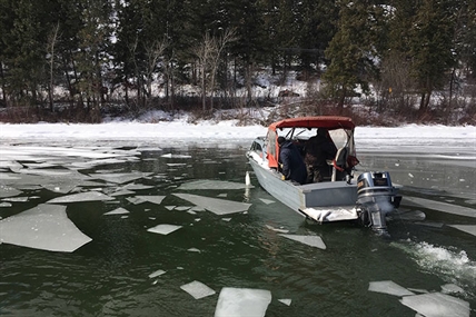 Baby deer rescued from icy waters of Okanagan Lake | iNFOnews.ca Baby deer rescued from icy waters of Okanagan Lake | iNFOnews.ca