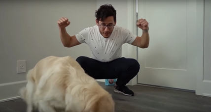 TRENDING NOW: Dog gets intelligence test | iNFOnews.ca