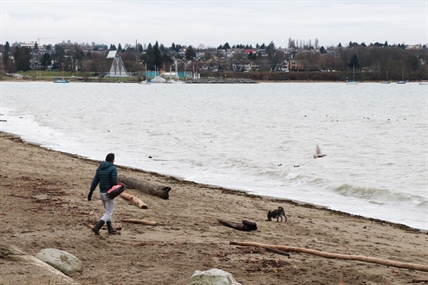 No adverse effects from 2011 Fukushima nuclear disaster on BC coast: researchers | iNFOnews.ca