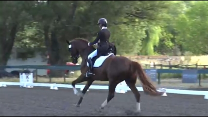 THOMPSON: Dressage athlete faces challenges on road to Olympic dream | iNFOnews.ca