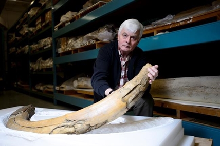A mammoth story: How the FBI helped Canada get back a pair of tusks | iNFOnews.ca A mammoth story: How the FBI helped Canada get back a pair of tusks | iNFOnews.ca
