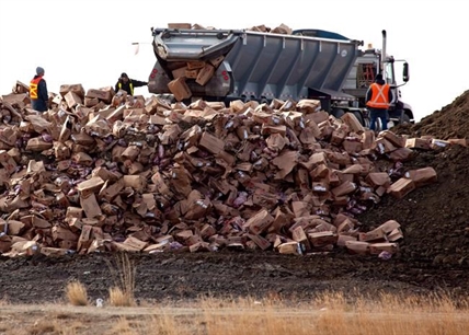 Report finds Canadians waste a lot of food; calls for action | iNFOnews.ca Report finds Canadians waste a lot of food; calls for action | iNFOnews.ca