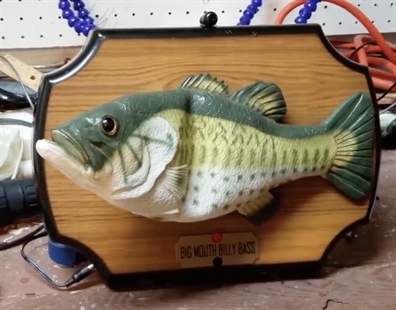 TRENDING NOW: Alexa as a talking fish | iNFOnews.ca