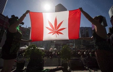 Much left to fight for beyond legalization, pot activists say as they mark 4-20 | iNFOnews.ca Much left to fight for beyond legalization, pot activists say as they mark 4-20 | iNFOnews.ca