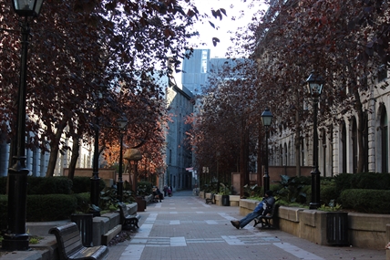 Montreal's green alleys have environmental, community benefits, experts say | iNFOnews.ca