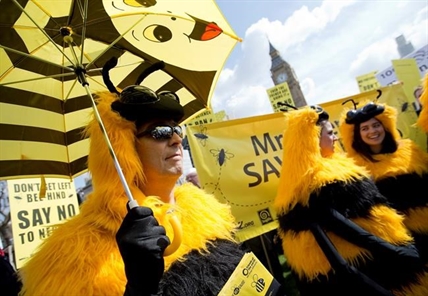 European Union moves to full ban on pesticides that harm bees | iNFOnews.ca European Union moves to full ban on pesticides that harm bees | iNFOnews.ca