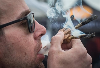 Too stoned to drive? Provinces need more info about marijuana impairment testing tech | iNFOnews.ca