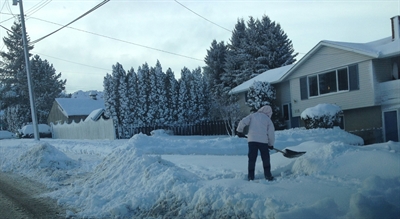RCMP follow snowy scooter tracks in 'slow speed pursuit' | iNFOnews.ca