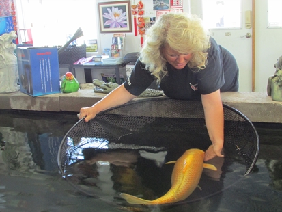 A Fishy Kind of Hobby | iNFOnews.ca