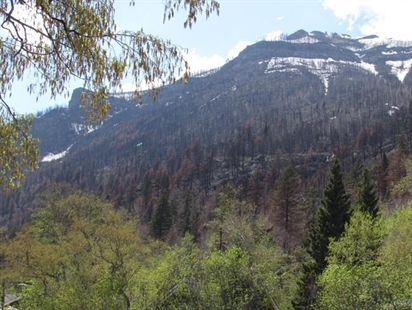 'Still beautiful:' Waterton Lakes National Park prepares for life after fire | iNFOnews.ca