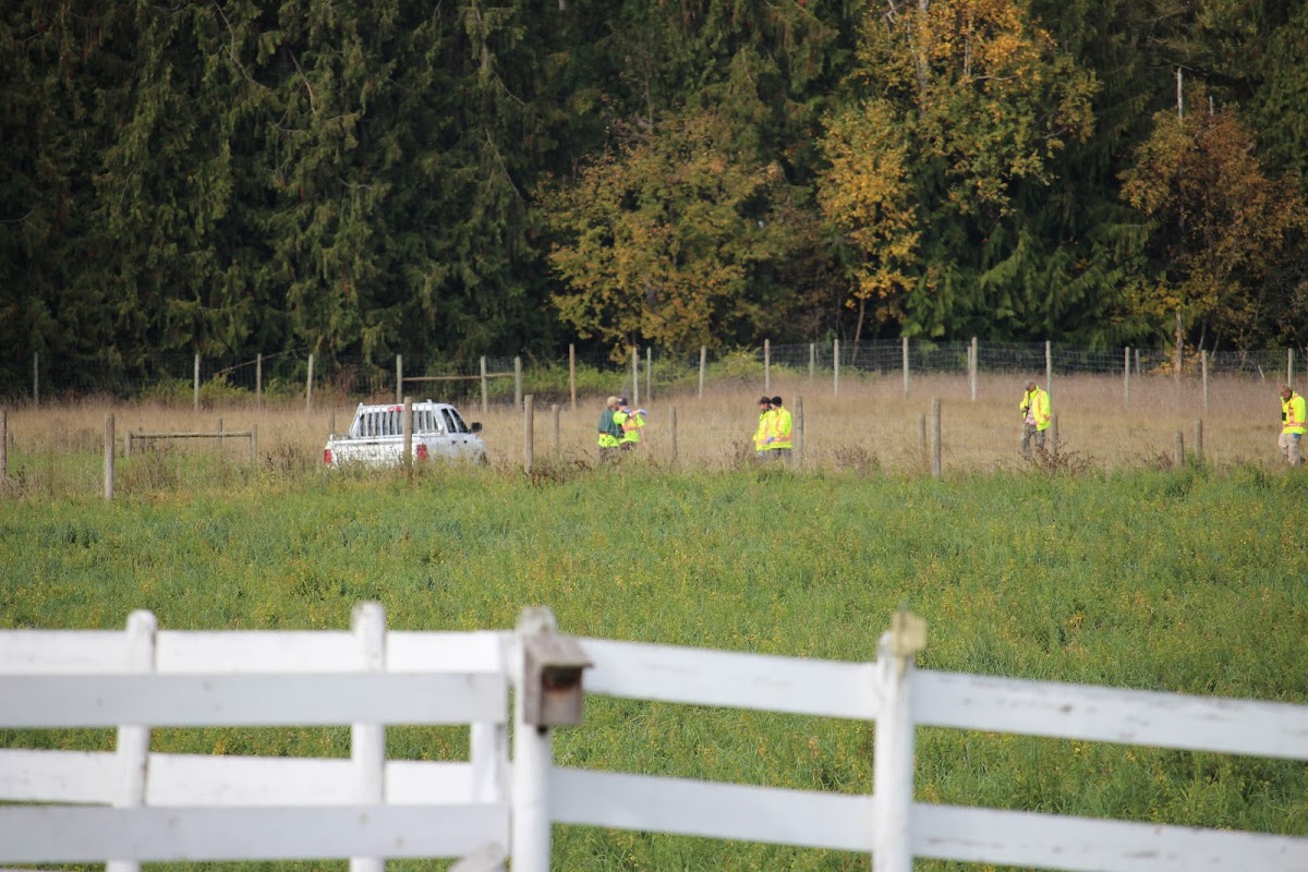 North Okanagan farmer fined $1,000 over issues with game deer | iNFOnews.ca