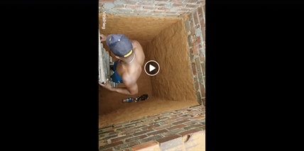 TRENDING NOW: Parkour kitty | iNFOnews.ca