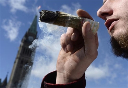 Marathon voting session stalls pot bill, cancels Friday sitting of Commons | iNFOnews.ca