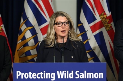 Salmon farm protester yells at B.C. premier to protect wild stocks | iNFOnews.ca