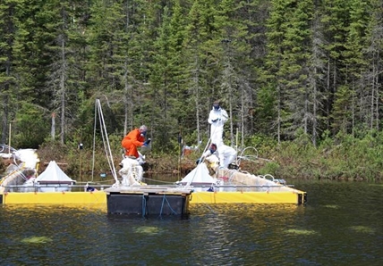 Deliberate spill: study launched to test crude and bitumen impact on lake life | iNFOnews.ca