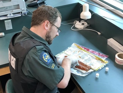 'Largest detention ever:' Canadians seize eel meat in 92-country wildlife sting | iNFOnews.ca