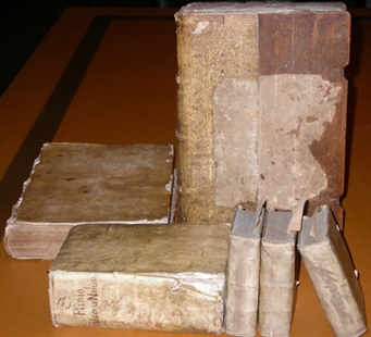 700-year-old manuscript newest acquisition of rare books at University of B.C. | iNFOnews.ca