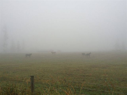 Blame an inversion for the foggy weather | iNFOnews.ca