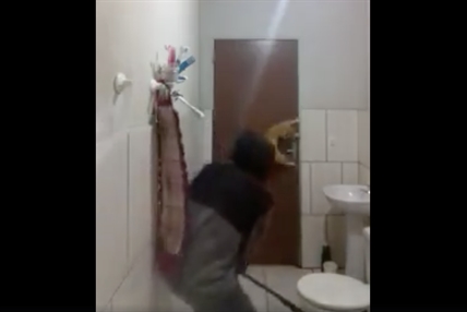 TRENDING NOW: Guy tries to catch rat with cat | iNFOnews.ca