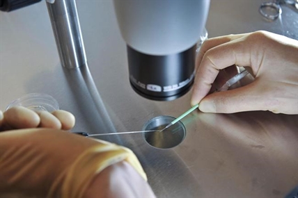 Woman sues fertility clinic, says lawsuit highlights need for better regulation | iNFOnews.ca Woman sues fertility clinic, says lawsuit highlights need for better regulation | iNFOnews.ca