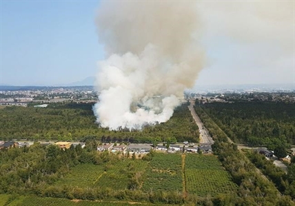 Richmond, B.C., wildfire burning underground, challenging firefighters | iNFOnews.ca