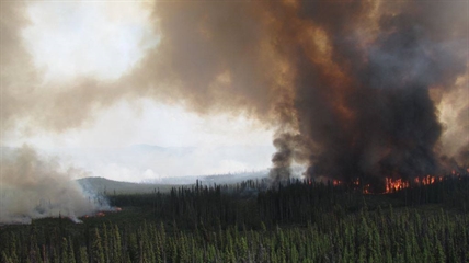 Lightning storms across B.C. raise tension as wildfire danger climbs | iNFOnews.ca