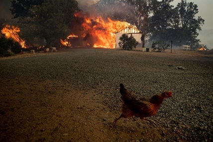 Wildfires scorching homes, land and California's budget | iNFOnews.ca