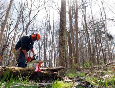 Conservation group urges Canadians not to spread invasive species | iNFOnews.ca
