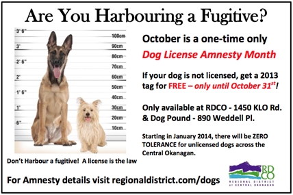 Free license amnesty offer ends October 31 | iNFOnews.ca