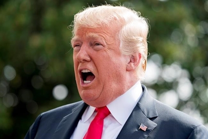 Forestry industry pushes back on Trump blaming fires on Canadian lumber imports | iNFOnews.ca