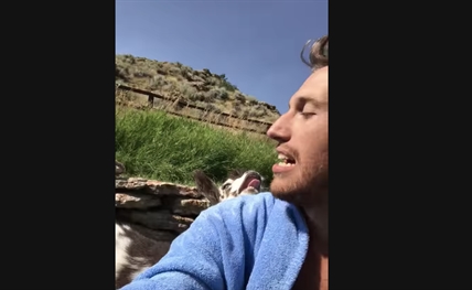 TRENDING NOW: Quarrelling with a goat | iNFOnews.ca