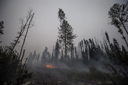 B.C. resource and tourism industries braced as wildfires rip through forests | iNFOnews.ca