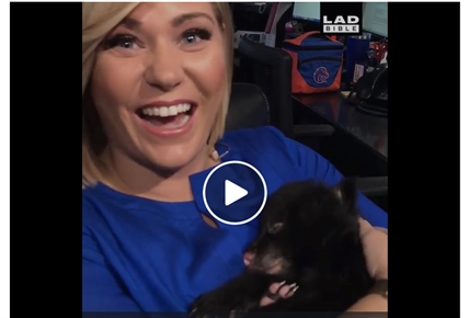 TRENDING NOW: Purring bear cub | iNFOnews.ca