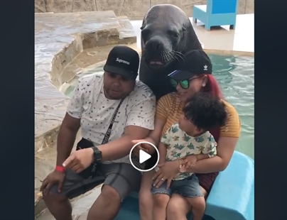 TRENDING NOW: Seal steals spotlight in family photo | iNFOnews.ca
