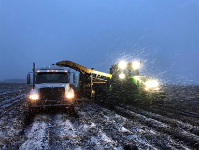 Alberta farmers fret over recent snowfalls that delayed harvest, damaged crops | iNFOnews.ca