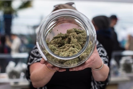 BC to have only one store selling cannabis on first day of legalization | iNFOnews.ca