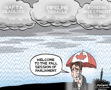 EDITORIAL CARTOON | iNFOnews.ca