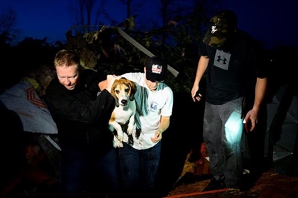 'A little bright spot:' Ottawa residents rescue dog trapped beneath rubble | iNFOnews.ca