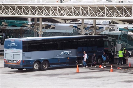 Buckle up for the Broncos: A look at some seatbelt rules across Canada | iNFOnews.ca