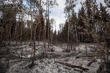 Back-to-back summers of smoke and fire stoke B.C. tourism industry fears | iNFOnews.ca Back-to-back summers of smoke and fire stoke B.C. tourism industry fears | iNFOnews.ca