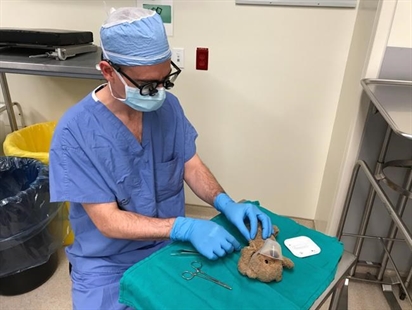 Halifax surgeon sews up favoured teddy bear after boy's operation | iNFOnews.ca Halifax surgeon sews up favoured teddy bear after boy's operation | iNFOnews.ca