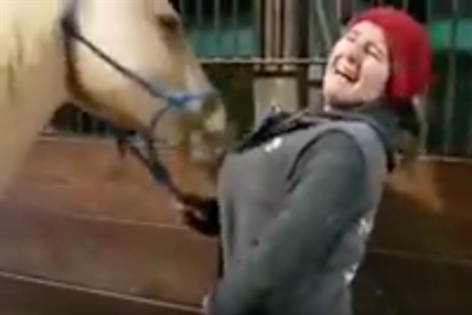 TRENDING NOW: They call him 'Zipperhorse' | iNFOnews.ca TRENDING NOW: They call him 'Zipperhorse' | iNFOnews.ca