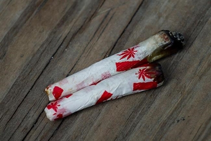 Cannabis legalization: Drug-impaired charges could lead to court backlog | iNFOnews.ca Cannabis legalization: Drug-impaired charges could lead to court backlog | iNFOnews.ca