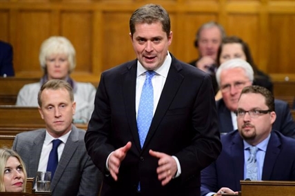 Trans Mountain like Monty Python's dead parrot under Trudeau government: Scheer | iNFOnews.ca