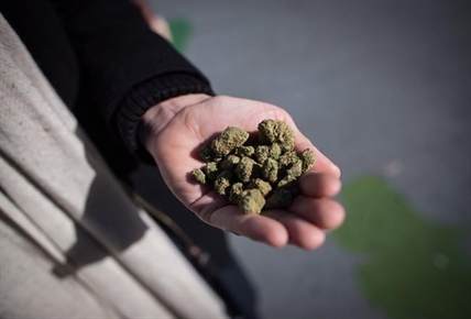 Low and slow: A tale of online recreational pot orders across Canada | iNFOnews.ca