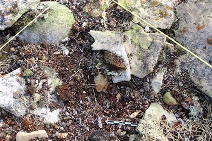 Ontario researcher pinpoints burial site of officer from Franklin Expedition | iNFOnews.ca
