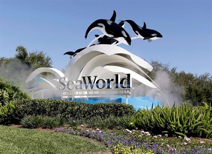 Air Canada, WestJet latest companies to cut ties to SeaWorld ahead of whale bill | iNFOnews.ca