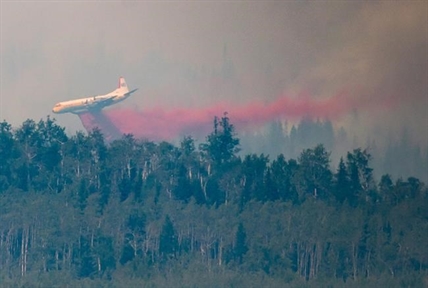 B.C. looks to prescribed burns to fight wildfires, regenerate ecosystems | iNFOnews.ca